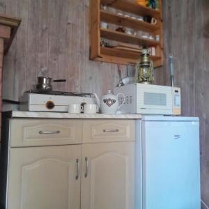 cocina con nevera blanca y microondas en Lakefront Log House and Sauna, en Ginučiai