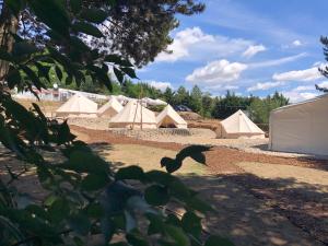 eine Gruppe von Zelten auf einem Feld mit Bäumen in der Unterkunft Anastazewo Port and Resort in Powidz