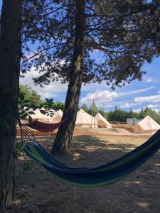 a hammock between two trees with tents in the background at Anastazewo Port and Resort in Powidz