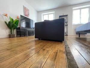 a living room with a television on a wooden floor at En Salvy : hyper centre + parking gratuit in Albi