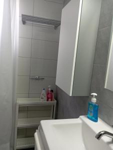 Koupelna v ubytování ΤΟ ΔΙΑΜΕΡΙΣΜΑ ΤΗΣ ΜΑΙΡΗΣ or MARY'S APARTMENT + 22 fotografií