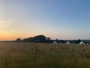 um campo de relva alta com tendas ao fundo em Unfurnished Bell Tent close to SWC path em Hartland