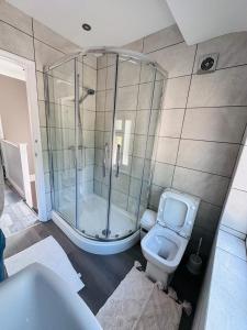 a bathroom with a shower and a toilet at Burmese - 5 Bedroom House in Earley