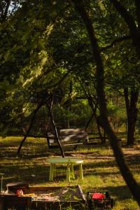 una mesa de picnic verde en un parque con árboles en Pokoje u Małgosi, en Kosewo