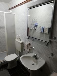Kamar mandi di Zlatibor Apartman Tomic 542