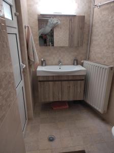 La salle de bains est pourvue d'un lavabo, d'un miroir et d'une douche. dans l'établissement Endiktis Art Home, 