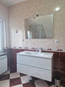 uma casa de banho com um lavatório branco e um espelho. em Green House Apartment em Pivka