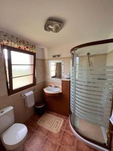 La salle de bains est pourvue d'une douche, de toilettes et d'un lavabo. dans l'établissement Espectacular Casona Montañesa, à Ibio