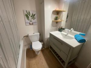 łazienka z toaletą, umywalką i lustrem w obiekcie Preciosa casa con jardín y piscina w mieście Bourg-Madame