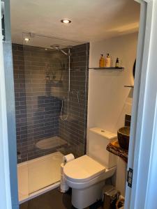 a bathroom with a toilet and a glass shower at The Bubble Hideaway - A Little Oasis near the Sea in Whitstable