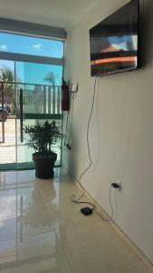 a room with a tv on a wall with a plant at Pousada Mar & Sol in Tutóia