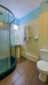 La salle de bains est pourvue d'une douche, de toilettes et d'un lavabo. dans l'établissement Hôtel Le Valéran, à Ligny-en-Barrois