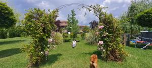 Gallery image of Green Villa Rodna in Skopje