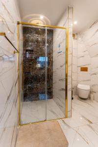 a glass shower in a bathroom with a toilet at Apartament Złoty Jelonek - 4 osobowy na Placu Ratuszowym - Space Apart in Jelenia Góra