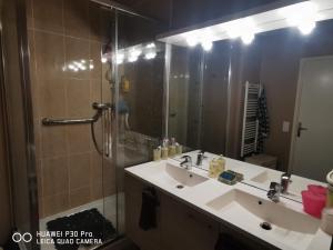 a bathroom with a sink and a shower and a mirror at Love Room Chambre Privée Chez Habitant proche gare rer 5 minute à pied in Aulnay-sous-Bois +9 photos