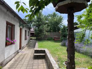 Zahrada ubytování Penzion Petra