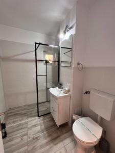 y baño con aseo, lavabo y espejo. en Sweet Home Apartament en Predeal