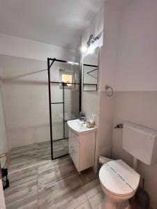 a bathroom with a toilet and a sink and a mirror at Sweet Home Apartament in Predeal +29 photos