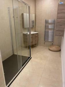 a bathroom with a glass shower and a sink at Beautiful garden apartment with private patio and garden view in Dublin