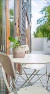 a white table and chair with a plant on a porch at Beautiful garden apartment with private patio and garden view in Dublin