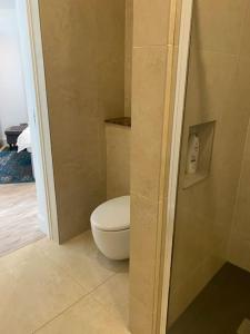 ein Bad mit einem weißen WC in einem Zimmer in der Unterkunft Beautiful garden apartment with private patio and garden view in Dublin