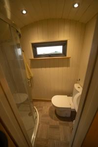 a small bathroom with a toilet and a window at Four Acres Farm Shepherds Huts in Donaghadee
