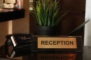una scatola con una pianta in cima a un tavolo di sobe Astonia a Subotica