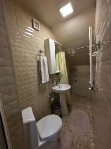 bagno con servizi igienici e lavandino di Stumari Apartaments a Tbilisi City