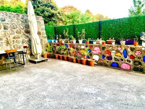 a group of potted plants on a stone wall at De&Ne apart 1 in Rize