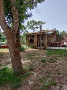 ein Backsteinhaus mit einem Baum davor in der Unterkunft Capo Vaticano 7km Casa vacanze in Monte Poro in Coccorino