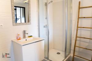 La salle de bains est pourvue d'un lavabo et d'une douche. dans l'établissement Lyam, à Strasbourg