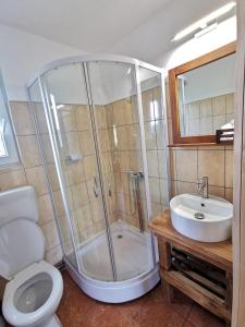 a bathroom with a shower and a toilet and a sink at Cabana Orizont Marisel in Mărişel
