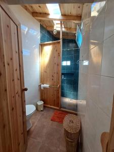 Lajes das FloresにあるCasita - your home in Floresのバスルーム(トイレ、青いタイル張りのシャワー付)