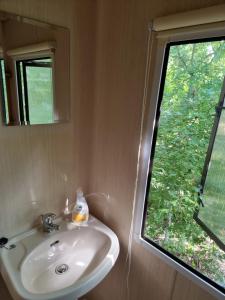 a bathroom with a sink and a window at Pod bocianim gniazdem in Węgorzewo