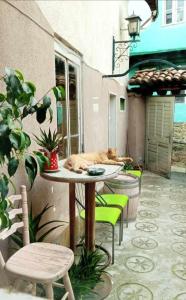 a cat sleeping on a table on a patio at Rooster Hostel in Veliko Tŭrnovo