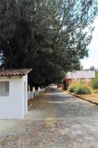 a tree lined street with a white building and trees at Casa Nantly Patzcuaro in Pátzcuaro