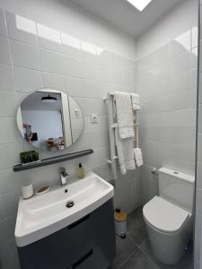 La salle de bains est pourvue d'un lavabo, de toilettes et d'un miroir. dans l'établissement Le Patio d’Eymet, à Eymet