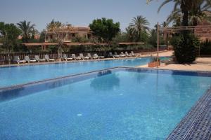 a large blue swimming pool with chairs and palm trees at palmeraie village 2 in Marrakesh