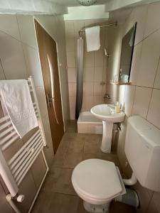 a small bathroom with a toilet and a sink at Casa de vacanta trei brazi in Ranca