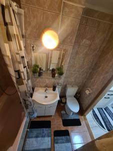 - une salle de bains avec lavabo et toilettes dans l'établissement Garsoniera Slanic-Moldova, à Slănic-Moldova