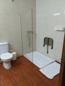uma casa de banho com um WC e uma cabina de duche em vidro. em Aconchego do Lar no Gerês