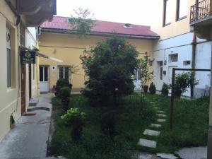 un pequeño patio con un árbol delante de un edificio en Vivaldi Studios, en Cluj-Napoca