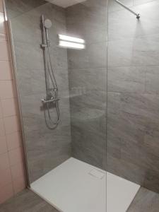 een douche met een glazen deur in de badkamer bij Apart Studio Bergdiamant in Piösmes