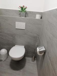 een badkamer met een wit toilet en bloemen op de muur bij Apart Studio Bergdiamant in Piösmes