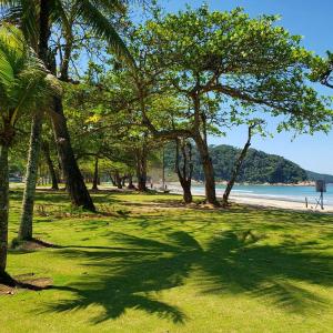 un grupo de árboles en una playa con el océano en Canto das Laranjeiras Beach Club Guaiuba, en Guarujá