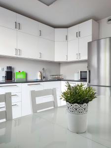 uma cozinha com armários brancos e um pote com uma planta em Apartment Szwed-Sniadowskiej Residence na Cracóvia