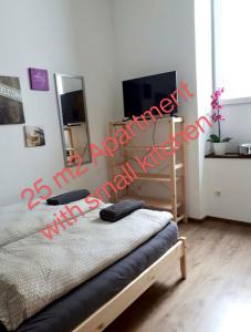 1 dormitorio con 1 cama y TV con escritura en rojo en Beautiful apartment near the centre, en Viena