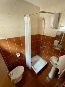 a bathroom with a shower and a toilet and a sink at Casa de vacanta trei brazi in Ranca +47 photos
