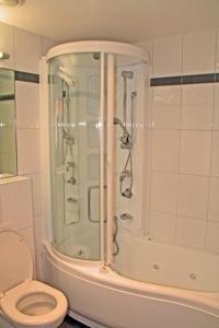 a bathroom with a shower and a toilet at Nest - Bundeststrasse 6-1br in Zug