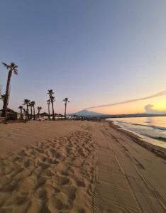 einen Sandstrand mit Palmen und dem Meer in der Unterkunft Casa vacanze Mezzanine in Catania